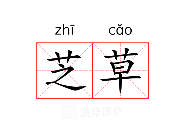 芝草 芝草