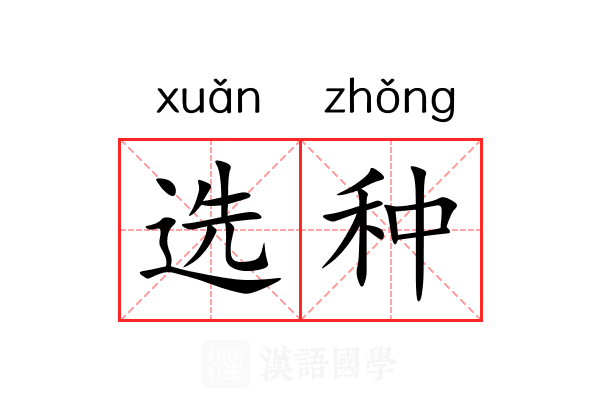 选种