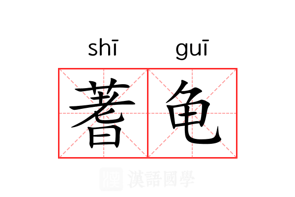 蓍龟 蓍龟