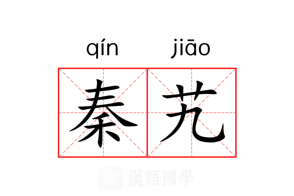 秦艽