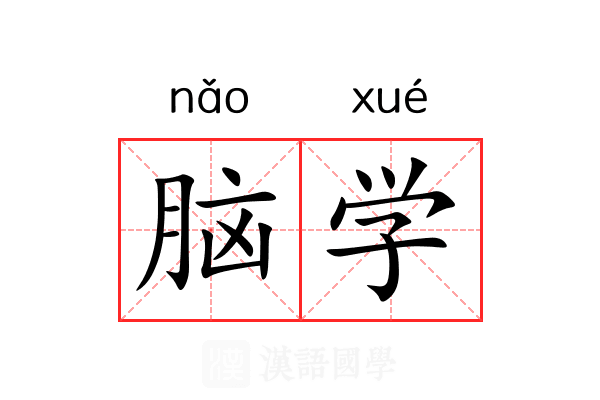 脑学 脑学