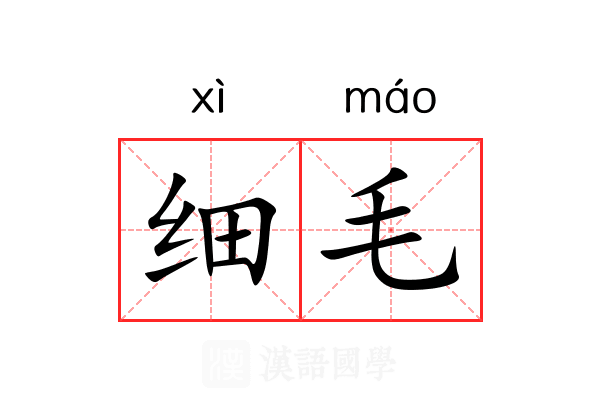 细毛
