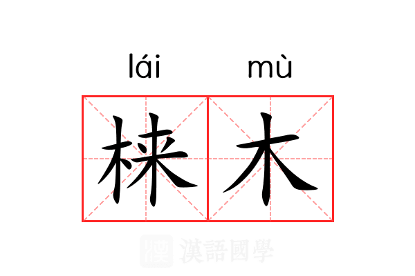 梾木