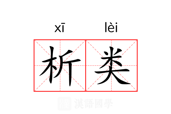 析类