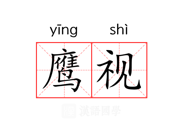 鹰视