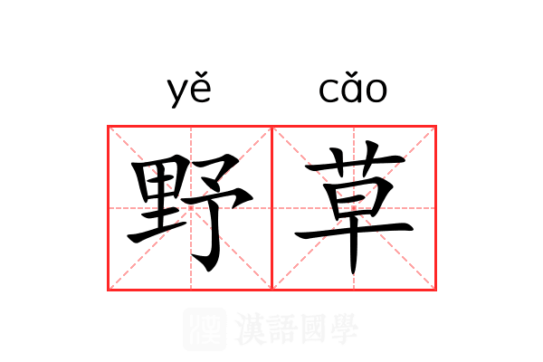 野草