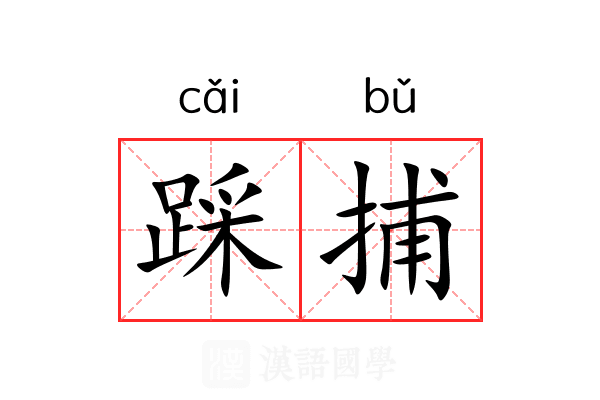 踩捕