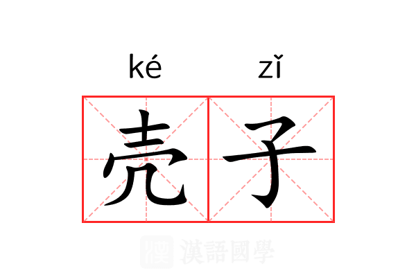 壳子 壳子