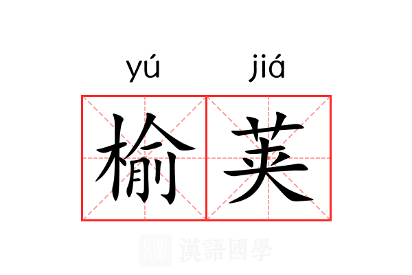 榆荚