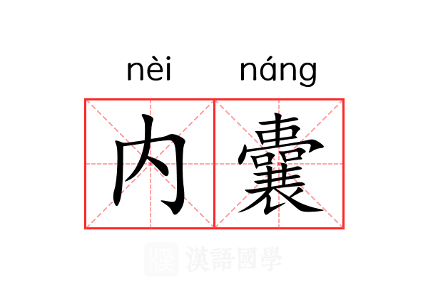 内囊 内囊