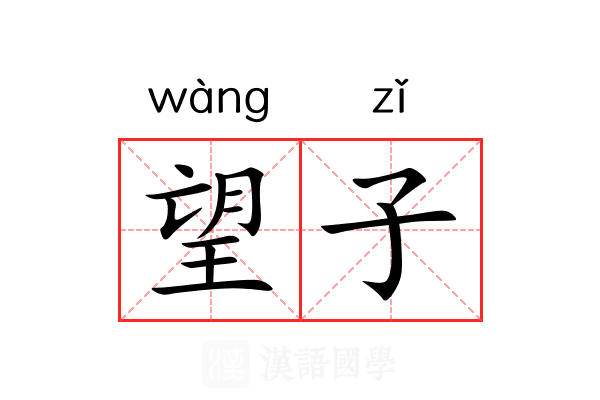 望子