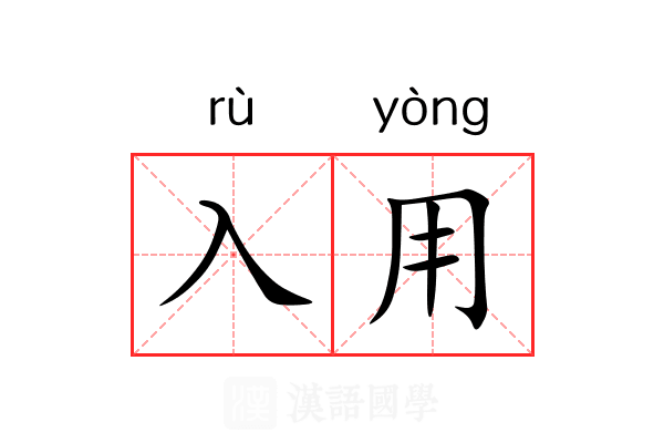 入用