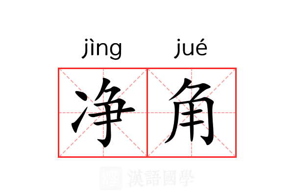 净角
