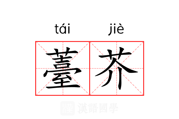 薹芥