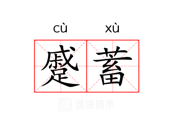 蹙蓄