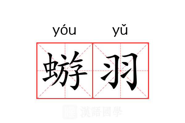 蝣羽