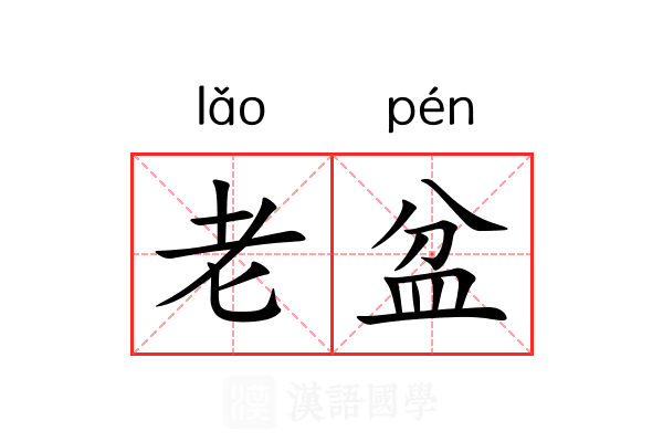 老盆 老盆