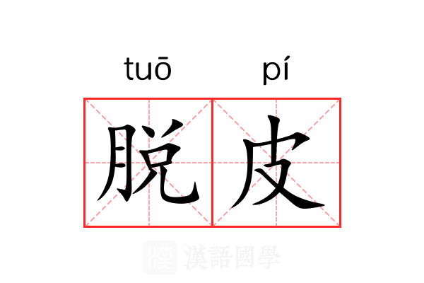 脱皮 脱皮