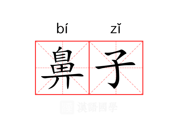 鼻子 鼻子