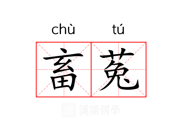 畜菟