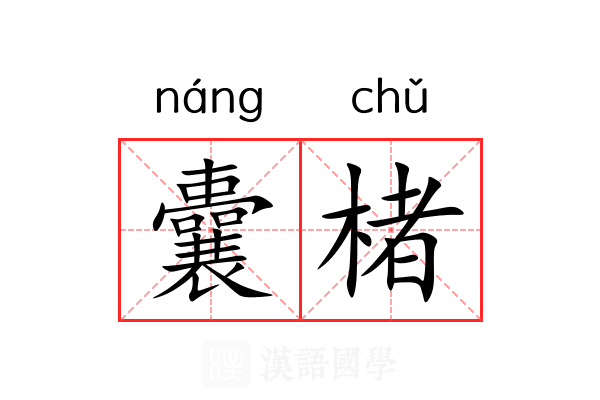 囊楮