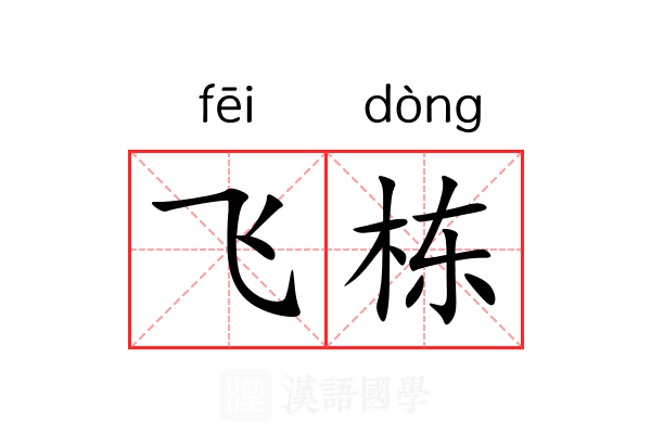 飞栋