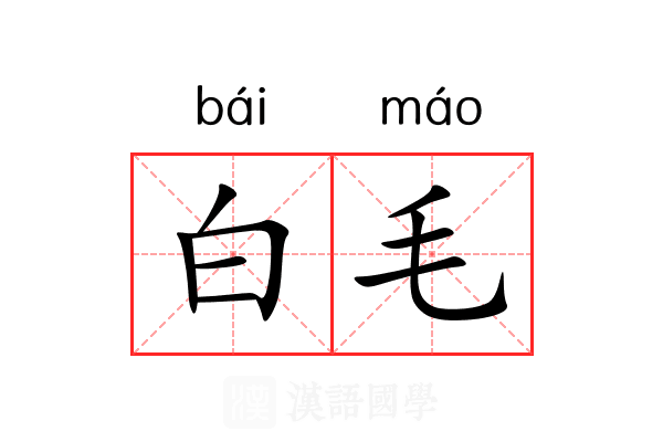 白毛 白毛