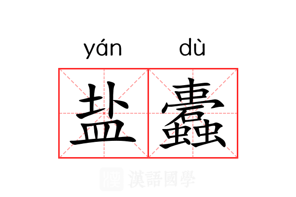 盐蠹