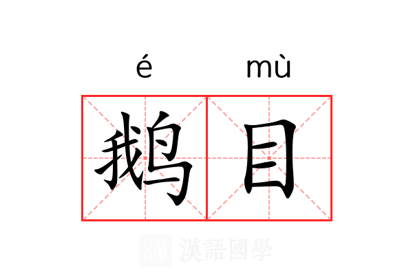 鹅目 鹅目