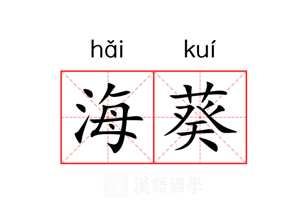 海葵