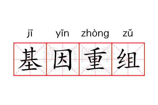 基因重组 基因重组