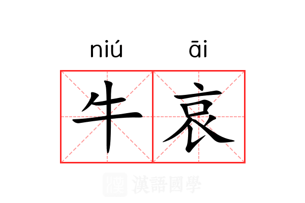 牛哀