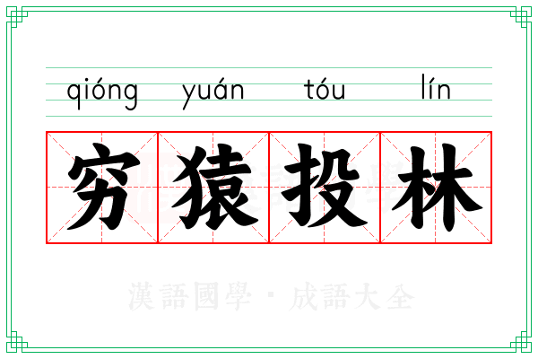 穷猿投林 穷猿投林