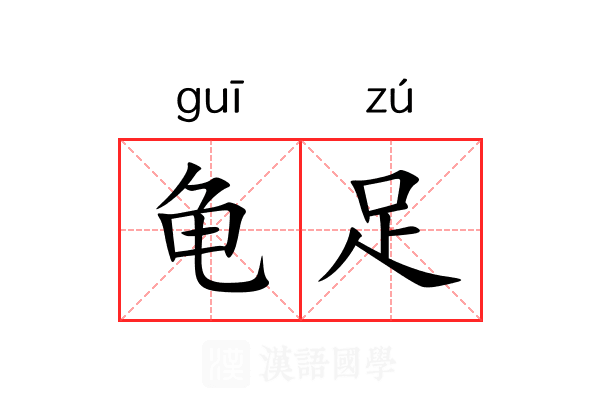 龟足 龟足