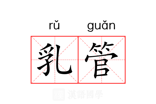 乳管