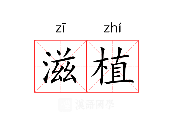 滋植