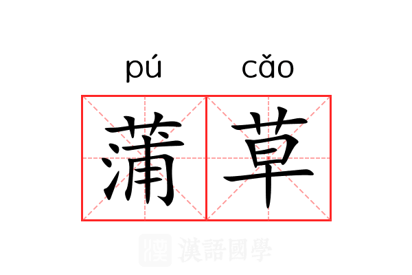 蒲草