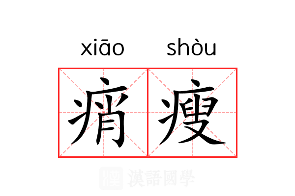痟瘦