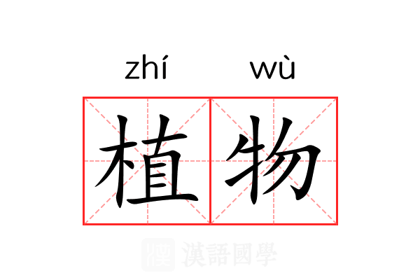 植物