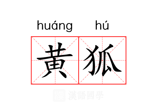 黄狐