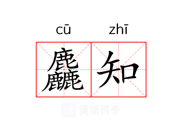 麤知
