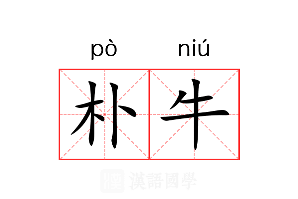 朴牛