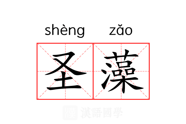 圣藻