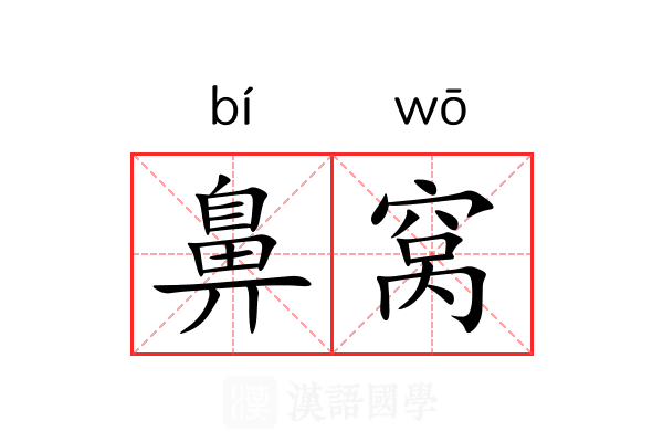 鼻窝