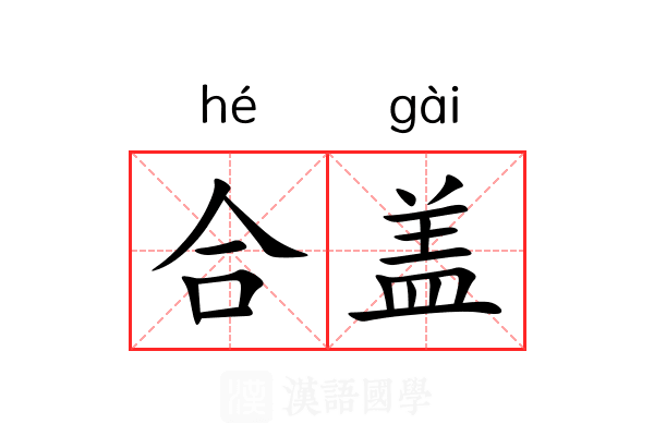 合盖