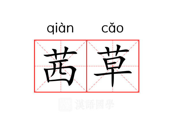 茜草 茜草