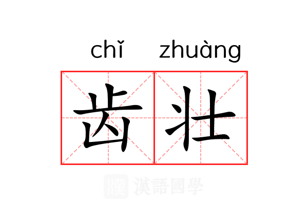 齿壮 齿壮