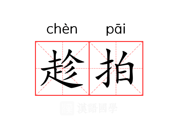 趁拍 趁拍