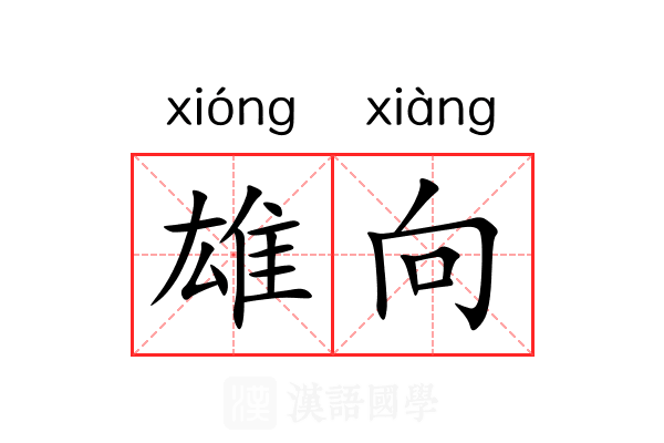 雄向 雄向