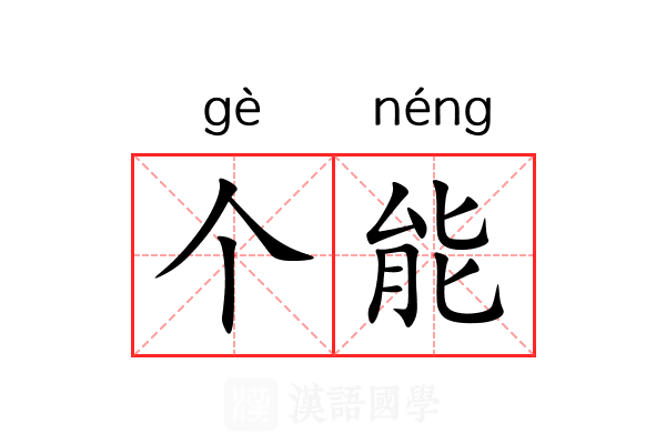 个能 个能